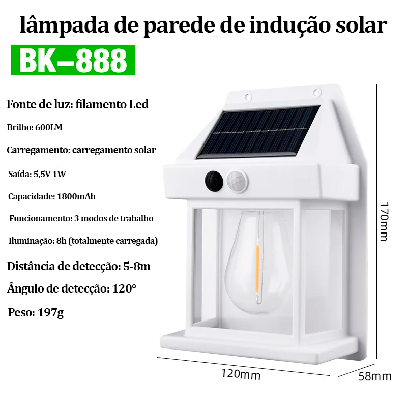 Ecolux Solar Floodlight